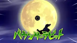 バウンサーラビット