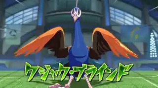 クジャク・ブラインド