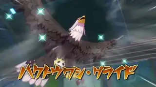 ハクトウワシ・グライド